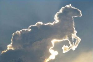 wolke-in-pferdeform