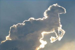 wolke-in-pferdeform