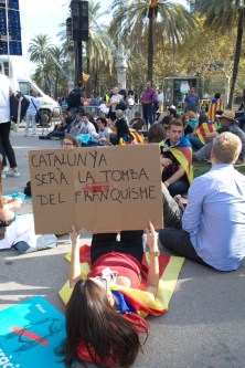 20171010_proclamacio_independencia_4523 Amadalvarez